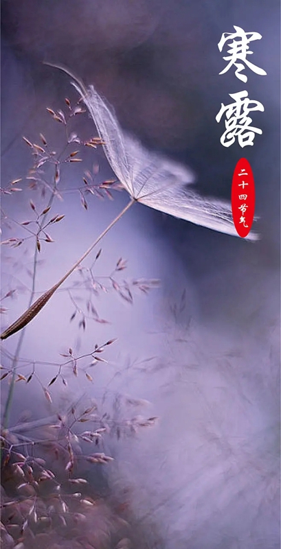 寒露入寒，人心向暖